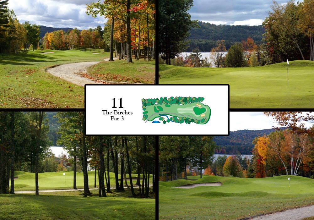 Province Lake Golf Club Parsonsfield, ME Public Tee Times Scorecard